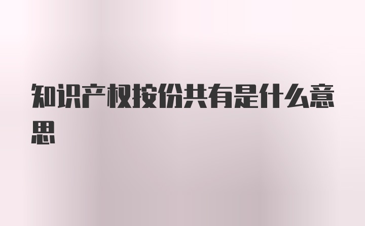 知识产权按份共有是什么意思