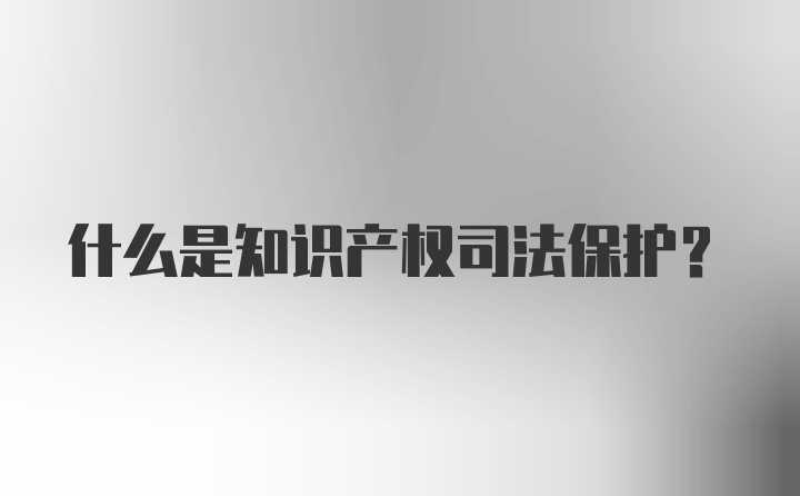 什么是知识产权司法保护？