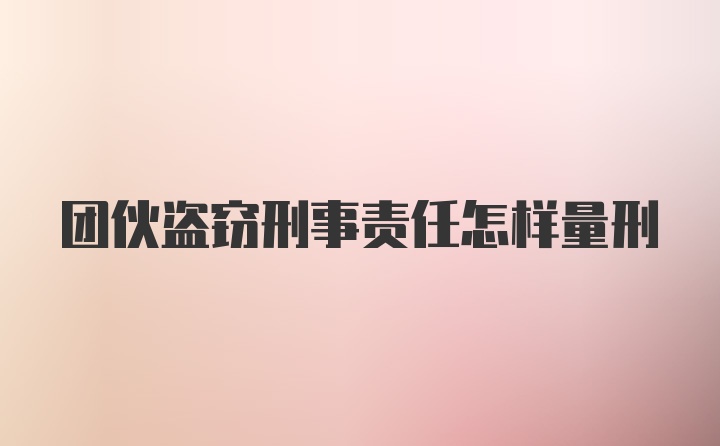 团伙盗窃刑事责任怎样量刑