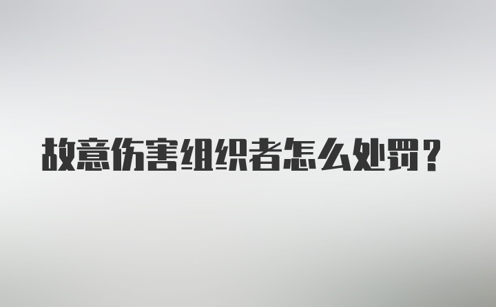 故意伤害组织者怎么处罚？