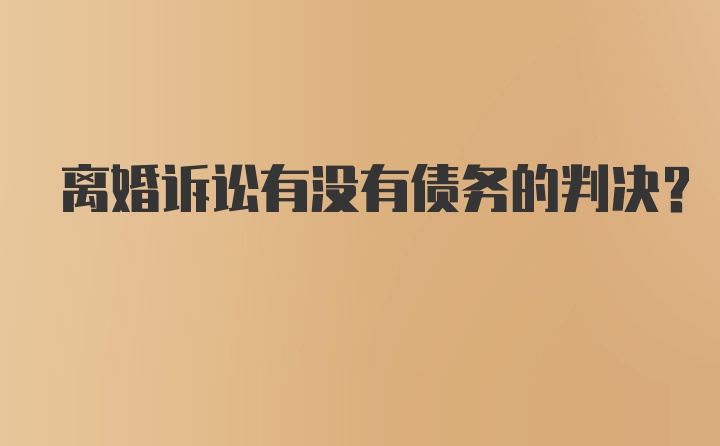 离婚诉讼有没有债务的判决？