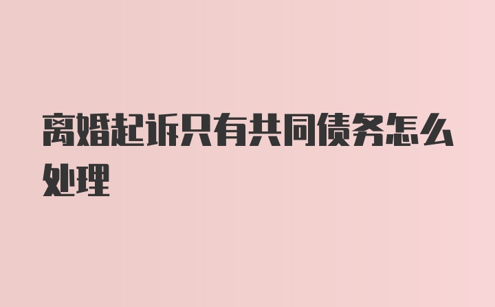 离婚起诉只有共同债务怎么处理