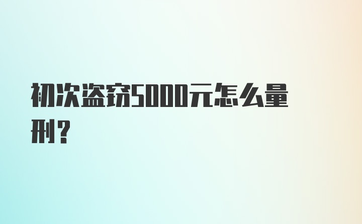 初次盗窃5000元怎么量刑？