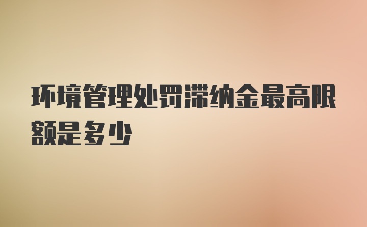 环境管理处罚滞纳金最高限额是多少