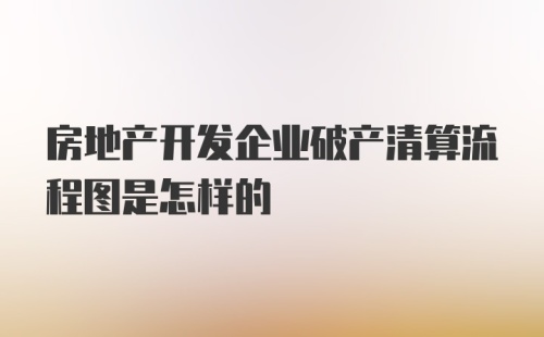 房地产开发企业破产清算流程图是怎样的