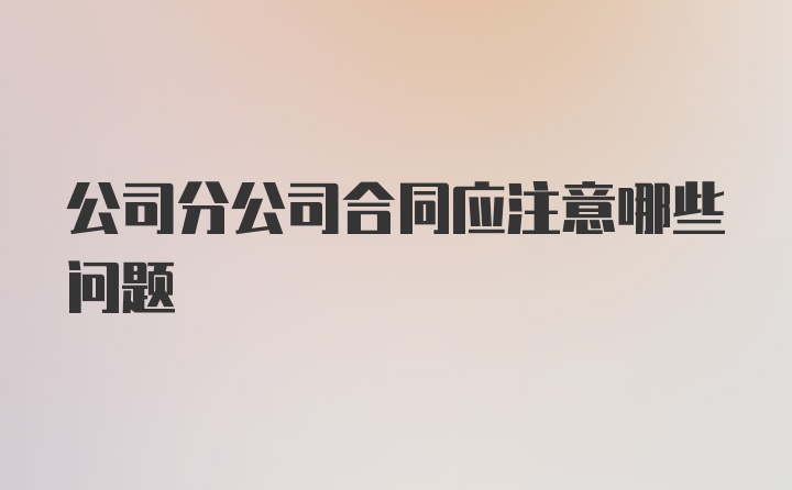 公司分公司合同应注意哪些问题