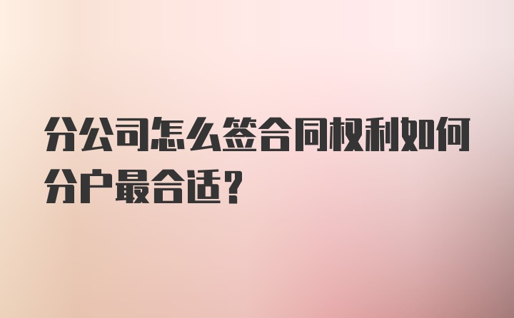 分公司怎么签合同权利如何分户最合适?