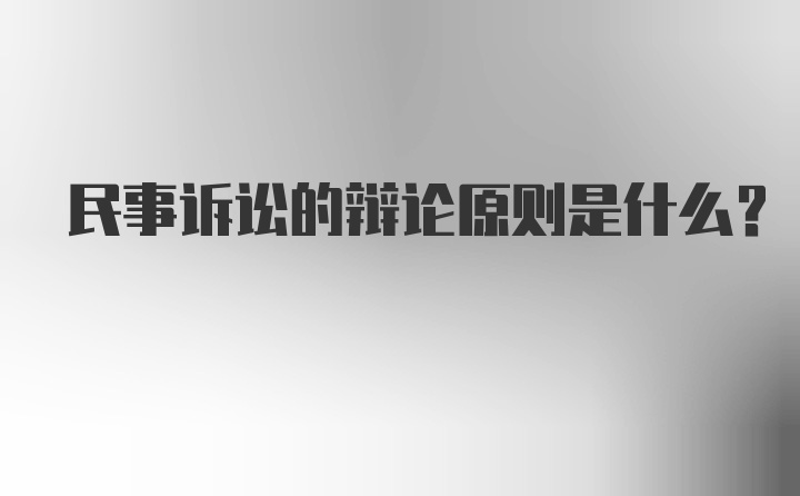 民事诉讼的辩论原则是什么？