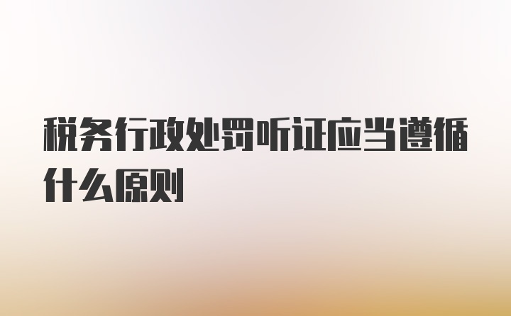 税务行政处罚听证应当遵循什么原则