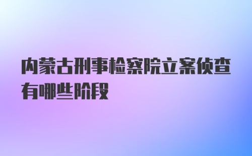 内蒙古刑事检察院立案侦查有哪些阶段