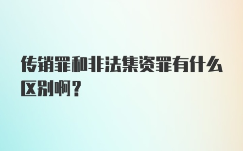 传销罪和非法集资罪有什么区别啊？