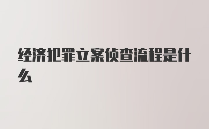 经济犯罪立案侦查流程是什么