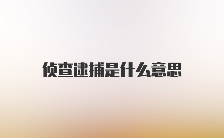 侦查逮捕是什么意思