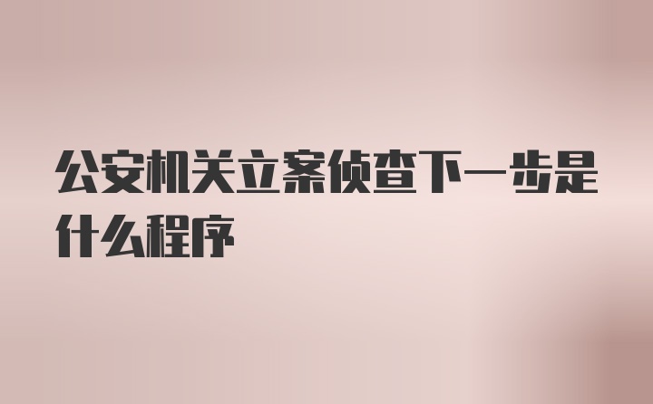 公安机关立案侦查下一步是什么程序