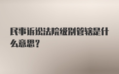 民事诉讼法院级别管辖是什么意思?