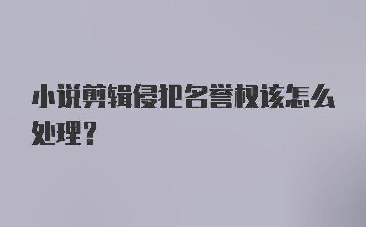 小说剪辑侵犯名誉权该怎么处理？