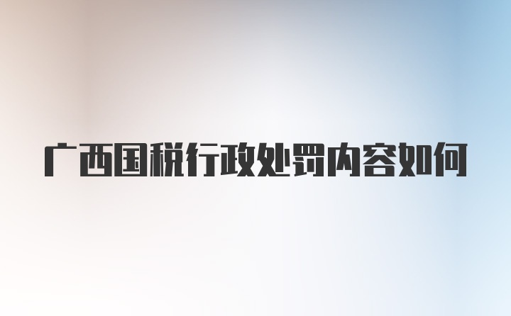 广西国税行政处罚内容如何