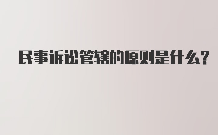 民事诉讼管辖的原则是什么?