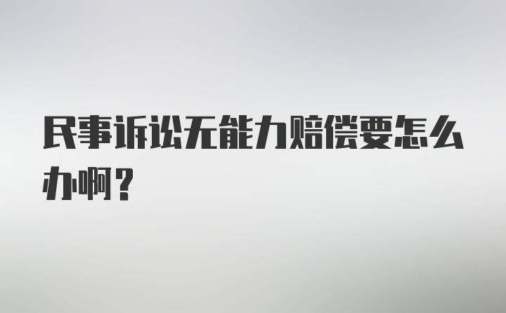 民事诉讼无能力赔偿要怎么办啊？