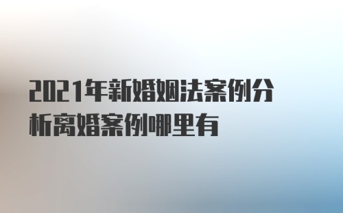 2021年新婚姻法案例分析离婚案例哪里有