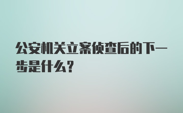 公安机关立案侦查后的下一步是什么?