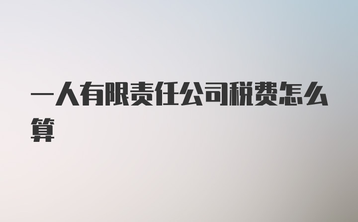 一人有限责任公司税费怎么算