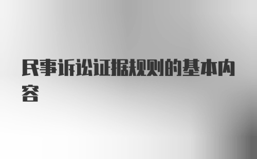 民事诉讼证据规则的基本内容