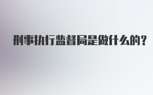 刑事执行监督局是做什么的？