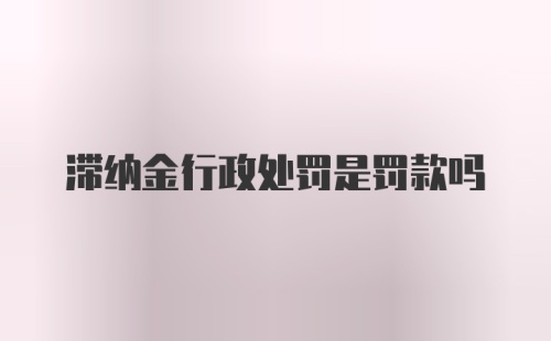 滞纳金行政处罚是罚款吗