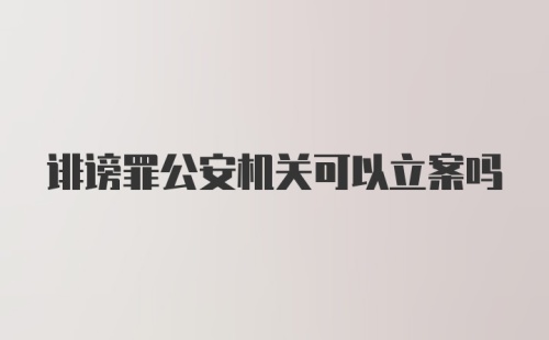 诽谤罪公安机关可以立案吗