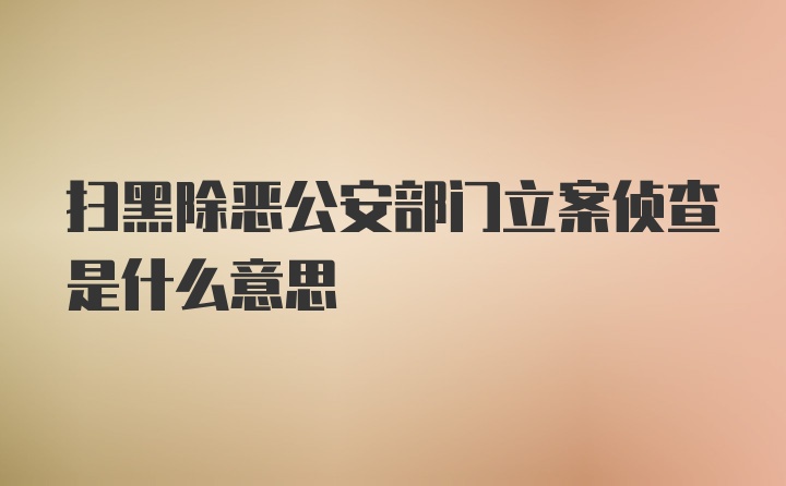 扫黑除恶公安部门立案侦查是什么意思