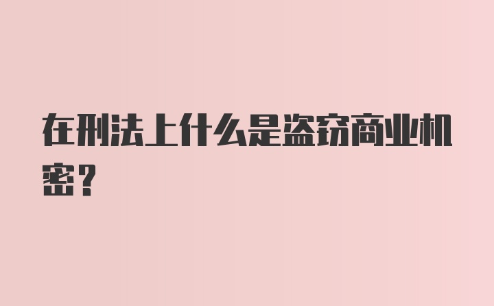 在刑法上什么是盗窃商业机密?