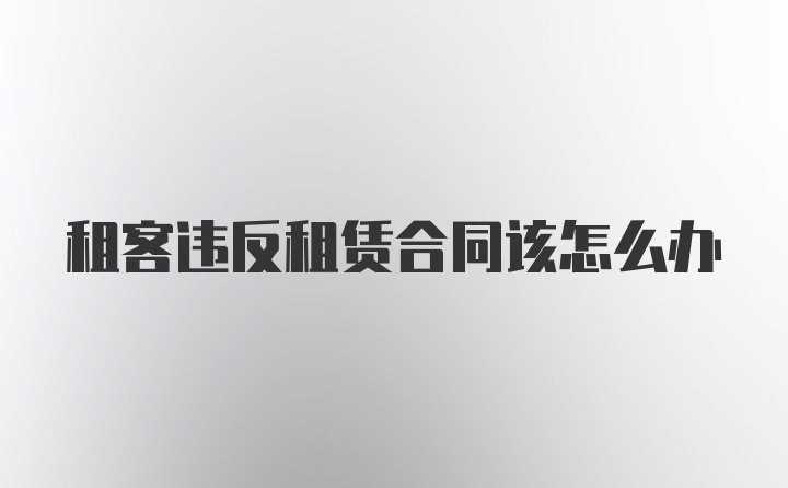 租客违反租赁合同该怎么办