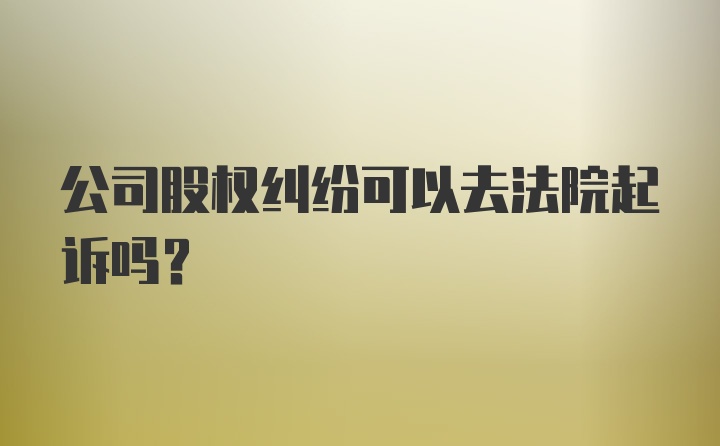 公司股权纠纷可以去法院起诉吗？