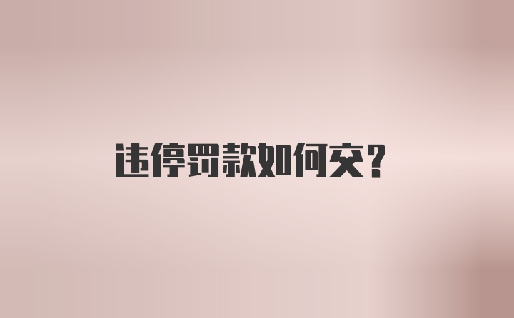 违停罚款如何交？