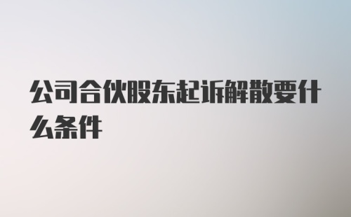 公司合伙股东起诉解散要什么条件