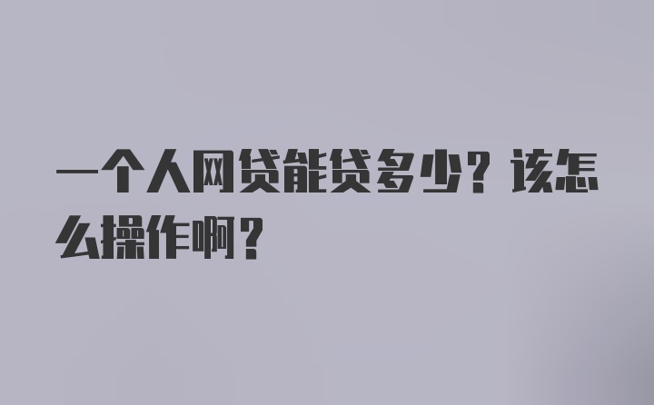 一个人网贷能贷多少？该怎么操作啊？