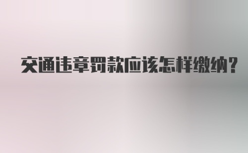 交通违章罚款应该怎样缴纳？