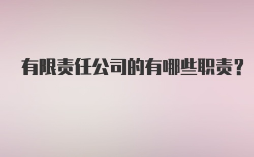 有限责任公司的有哪些职责?