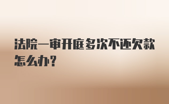 法院一审开庭多次不还欠款怎么办？