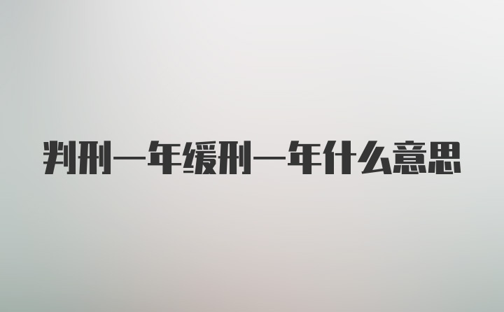 判刑一年缓刑一年什么意思