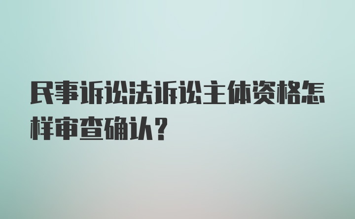 民事诉讼法诉讼主体资格怎样审查确认?