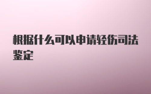 根据什么可以申请轻伤司法鉴定