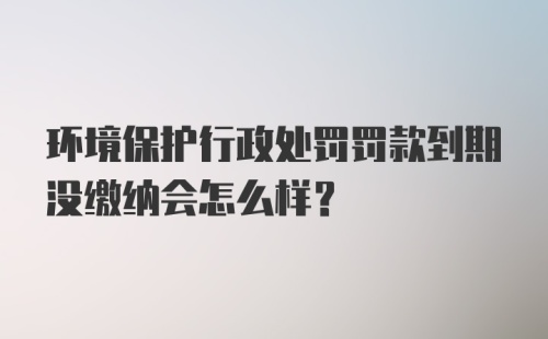 环境保护行政处罚罚款到期没缴纳会怎么样？