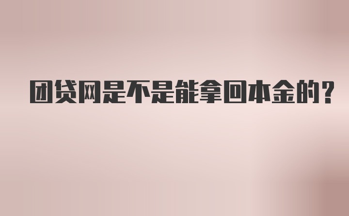 团贷网是不是能拿回本金的？