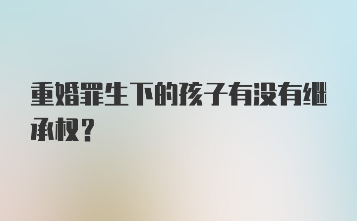 重婚罪生下的孩子有没有继承权？