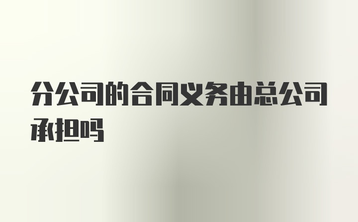 分公司的合同义务由总公司承担吗