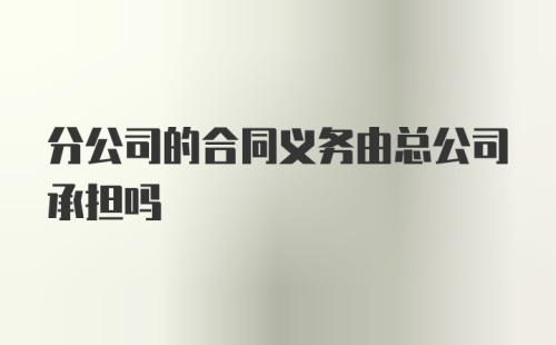 分公司的合同义务由总公司承担吗