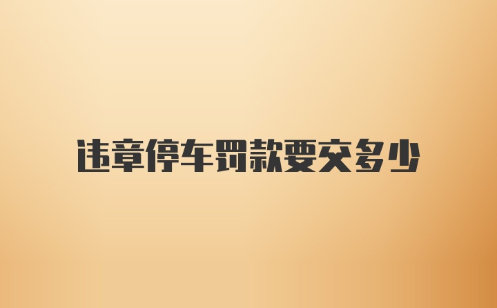 违章停车罚款要交多少