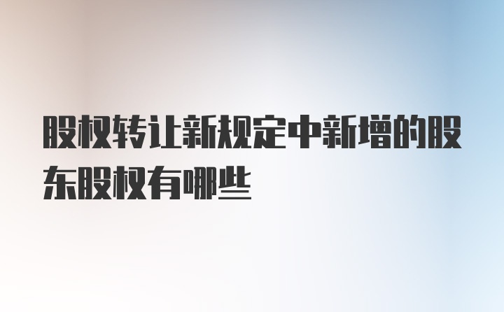 股权转让新规定中新增的股东股权有哪些